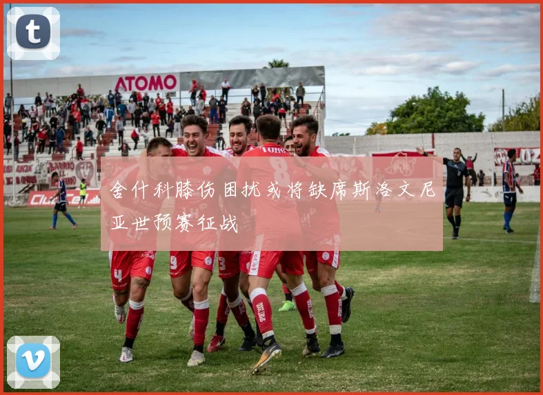 舍什科膝伤困扰或将缺席斯洛文尼亚世预赛征战
