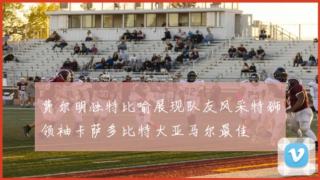 费尔明独特比喻展现队友风采特狮领袖卡萨多比特犬亚马尔最佳