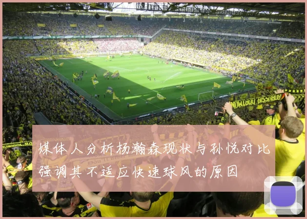 媒体人分析杨瀚森现状与孙悦对比强调其不适应快速球风的原因